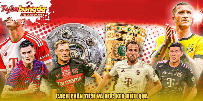 Cách phân tích và đọc kèo hiệu quả