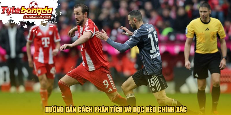 Hướng dẫn cách phân tích và đọc kèo chính xác