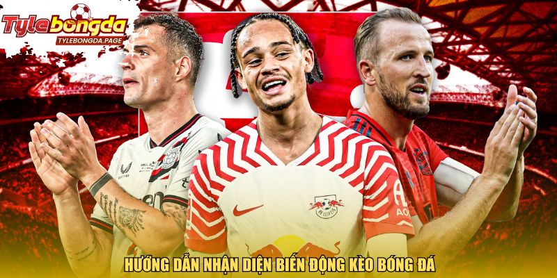 Hướng dẫn nhận diện biến động kèo bóng đá