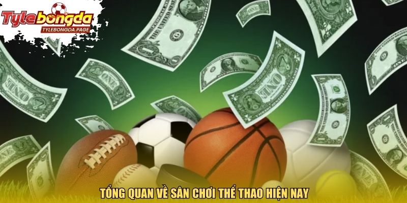 Tổng quan về sân chơi thể thao hiện nay